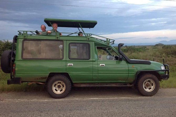 1 Day Big 5 & Big cats in Akagera National Park